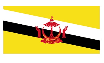 FLAG NATIONAL 2`X 3` BUNTING, BRUNEI