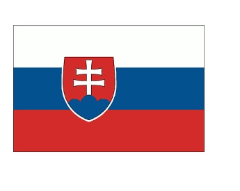 FLAG NATIONAL 2`X 3` BUNTING, SLOVAK REPUBLIC