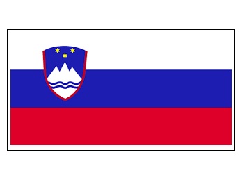 FLAG NATIONAL 2`X 3` BUNTING, SLOVENIA