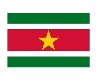 FLAG NATIONAL 2`X 3` BUNTING, SURINAME