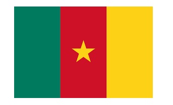 FLAG NATIONAL 3`X 4` BUNTING, CAMEROON