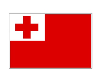 FLAG NATIONAL 2`X 3` BUNTING, TONGA
