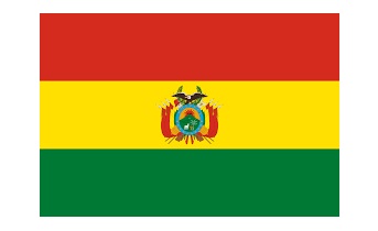 FLAG NATIONAL 2`X 3` BUNTING, BOLIVIA