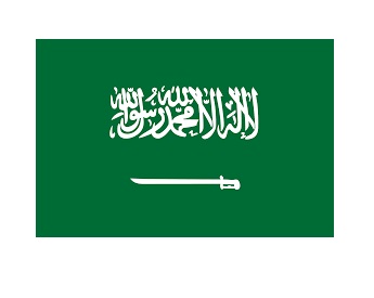 FLAG NATIONAL 2`X 3` BUNTING, SAUDI ARABIA