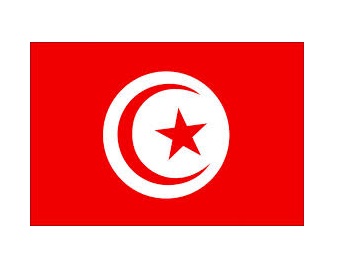 FLAG NATIONAL 2`X 3` BUNTING, TUNISIA