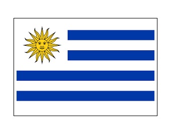 FLAG NATIONAL 2`X 3` BUNTING, URUGUAY