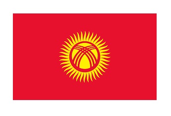 FLAG NATIONAL 3`X 4` BUNTING, KYRGYZSTAN