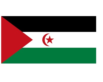 FLAG NATIONAL 3`X 4` BUNTING, SAHRAWI ARAB
