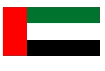 FLAG REGIONAL 4`X 6` BUNTING, DUBAI