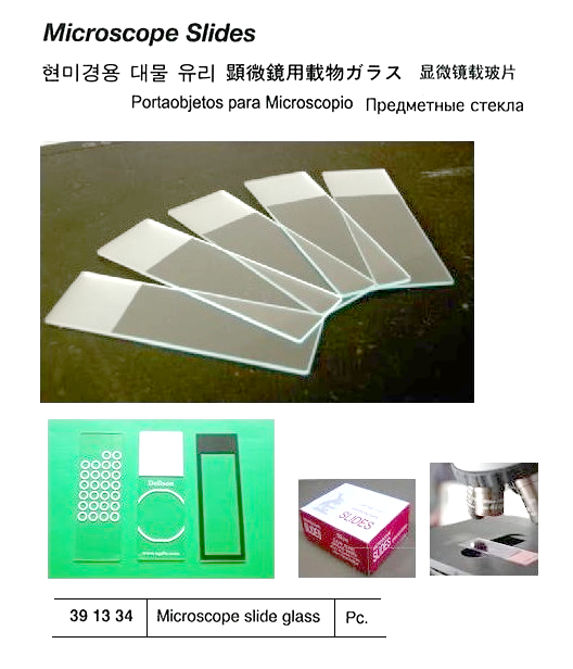 MICROSCOPE SLIDE