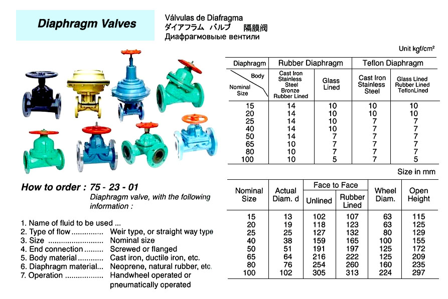 VALVE DIAPHRAGM WITH FURTHER, DETAIL